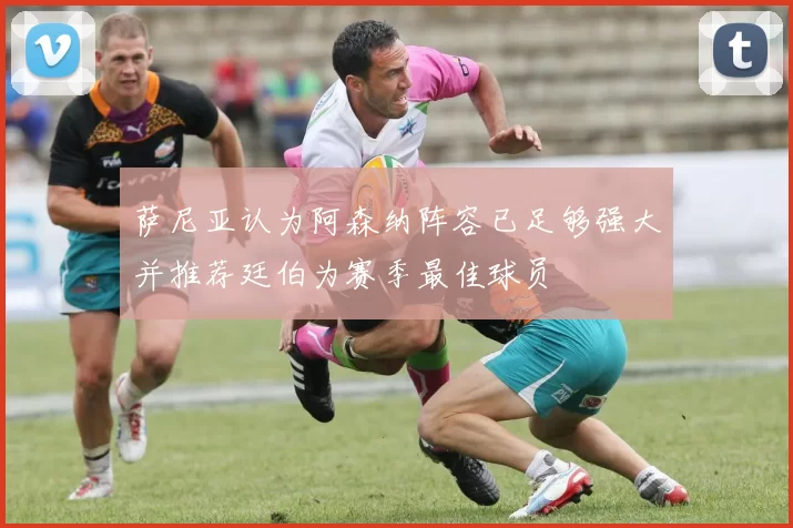 萨尼亚认为阿森纳阵容已足够强大并推荐廷伯为赛季最佳球员